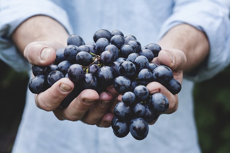 अंगूर grapes शिशु आहार baby food